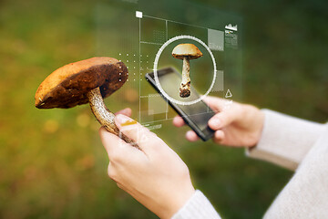 Image showing woman using smartphone to identify mushroom