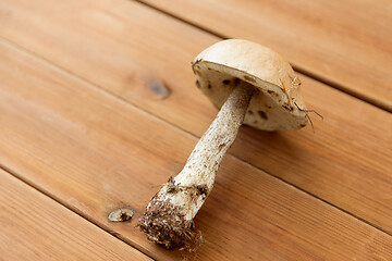 Image showing brown cap boletus mushroom on wooden background