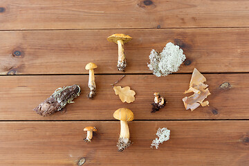 Image showing edible mushrooms, moss and pine bark on wood