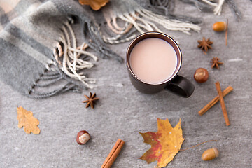 Image showing hot chocolate, autumn leaves and warm blanket