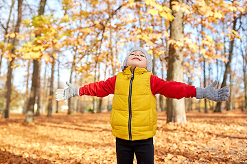 Image showing happy little boy at autumn park