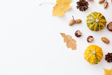 Image showing autumn leaves, chestnuts, acorns and pumpkins