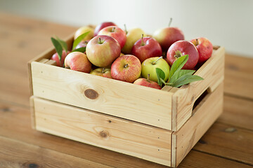 Image showing ripe apples in wooden box on table