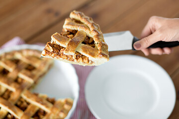 Image showing close up of hand with piece of apple pie on knife