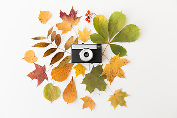 Image showing film camera and autumn leaves on white background