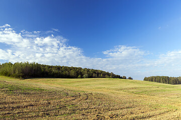 Image showing Field of the harvest