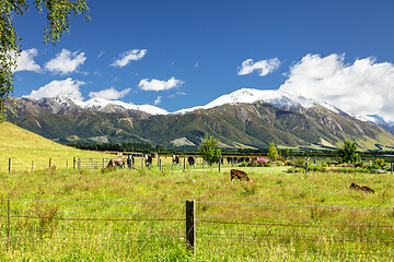 Image showing Mountain Alps scenery in south New Zealand