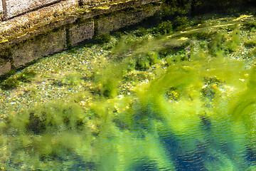 Image showing the Danube spring in Donaueschingen Germany