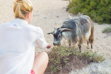 Image showing Female tourist observing cute grazing goat in pristine Mediterranean landscape near Balos beach, Crete, Greece
