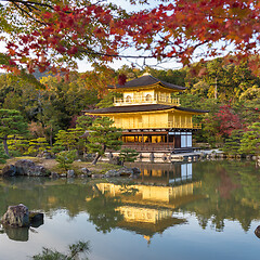 Image showing Kinkakuji in autumn season, famous Golden Pavilion at Kyoto, Japan