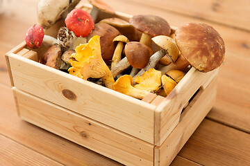 Image showing wooden box of different edible mushrooms