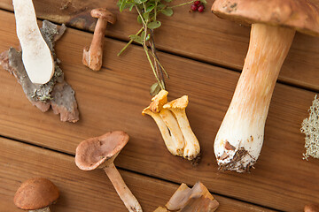 Image showing different edible mushrooms on wooden background