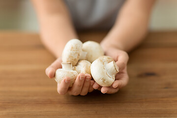 Image showing close up of female hands holding champignons