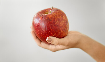 Image showing close up of hands holding ripe red apple