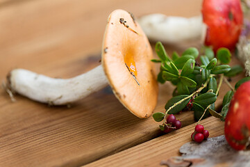 Image showing russule mushrooms and cowberry on wood