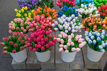 Image showing Wooden Tulips in Buckets