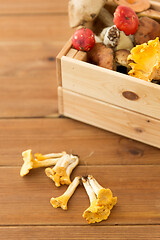 Image showing wooden box of different edible mushrooms