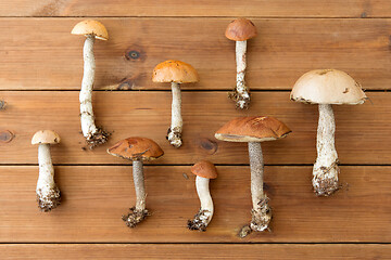 Image showing brown cap boletus mushrooms on wooden background