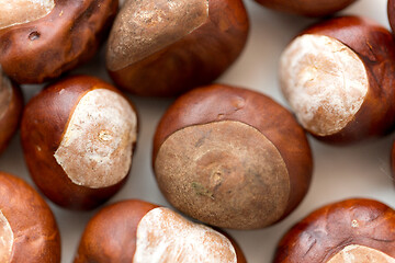 Image showing close up of horse chestnuts on white background