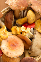 Image showing brown cap boletus mushrooms on wooden background