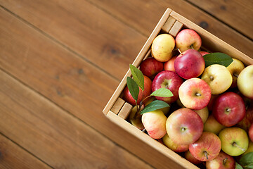 Image showing ripe apples in wooden box on table