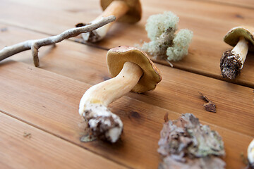 Image showing boletus edulis mushrooms on wooden background