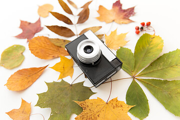 Image showing film camera and autumn leaves on white background