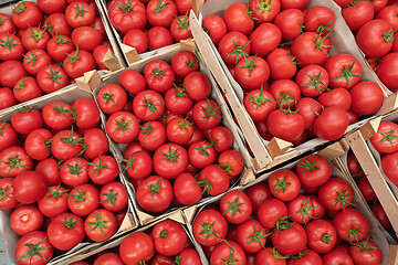 Image showing Tomatoes Top View