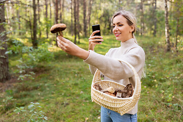 Image showing woman using smartphone to identify mushroom