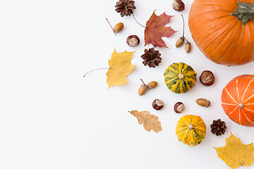 Image showing autumn leaves, chestnuts, acorns and pumpkins