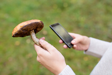 Image showing woman using smartphone to identify mushroom