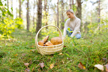 Image showing basket of mushrooms and woman in autumn forest