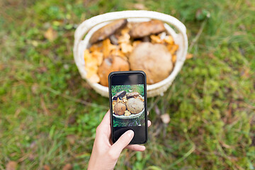 Image showing close up of woman photographing mushrooms