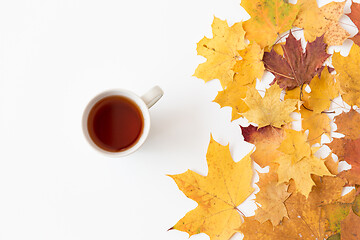 Image showing cup of black tea and autumn maple leaves