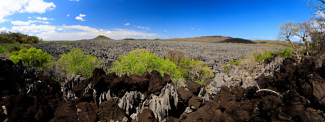 Image showing Tsingy rock formations in Ankarana, Madagascar wilderness