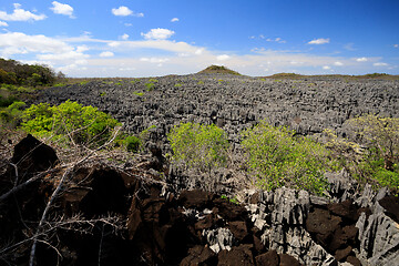 Image showing Tsingy rock formations in Ankarana, Madagascar wilderness