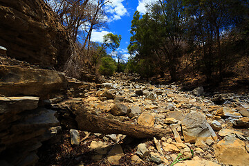 Image showing dry stone riverbed, Ankarana Madagascar