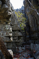 Image showing Tsingy rock formations in Ankarana, Madagascar wilderness