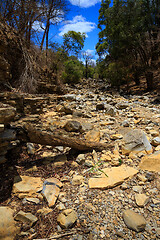 Image showing dry stone riverbed, Ankarana Madagascar