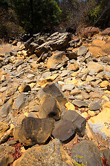 Image showing dry stone riverbed, Ankarana Madagascar