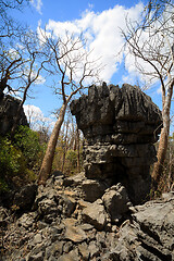 Image showing Tsingy rock formations in Ankarana, Madagascar wilderness