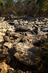 Image showing dry stone riverbed, Ankarana Madagascar