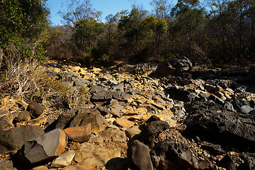 Image showing dry stone riverbed, Ankarana Madagascar