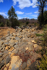 Image showing dry stone riverbed, Ankarana Madagascar
