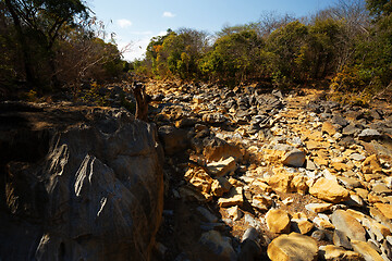 Image showing dry stone riverbed, Ankarana Madagascar