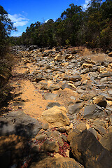 Image showing dry stone riverbed, Ankarana Madagascar