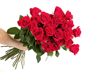 Image showing fresh red roses in hand on white background