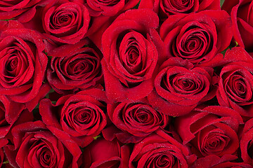 Image showing fresh red roses background