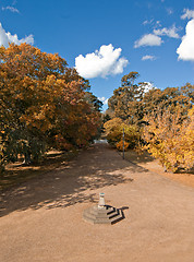 Image showing autumn driveway