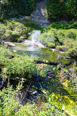 Image showing volcanic activities at waimangu